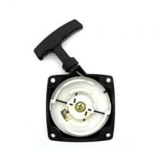 Starter sa zicom za Villager Straus Demon